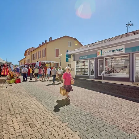 Lumineux En Centre-ville Avec Balcon Et Animaux Admis - Fr-1-841-16