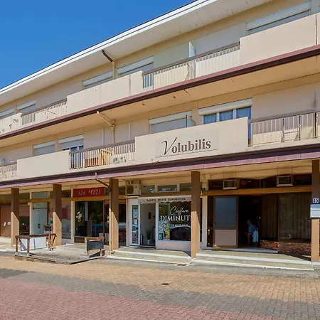 Lumineux En Centre-ville Avec Balcon Et Animaux Admis - Fr-1-841-16 *
